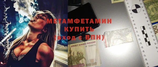 индика Козловка