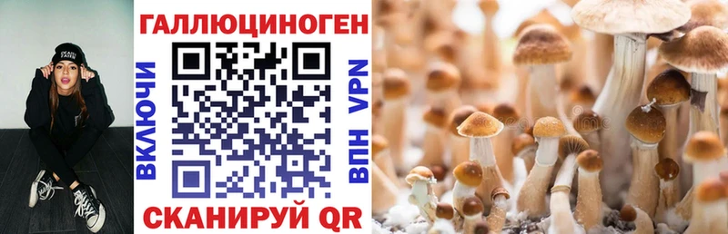 где купить наркоту Слюдянка Галлюциногенные грибы GOLDEN TEACHER